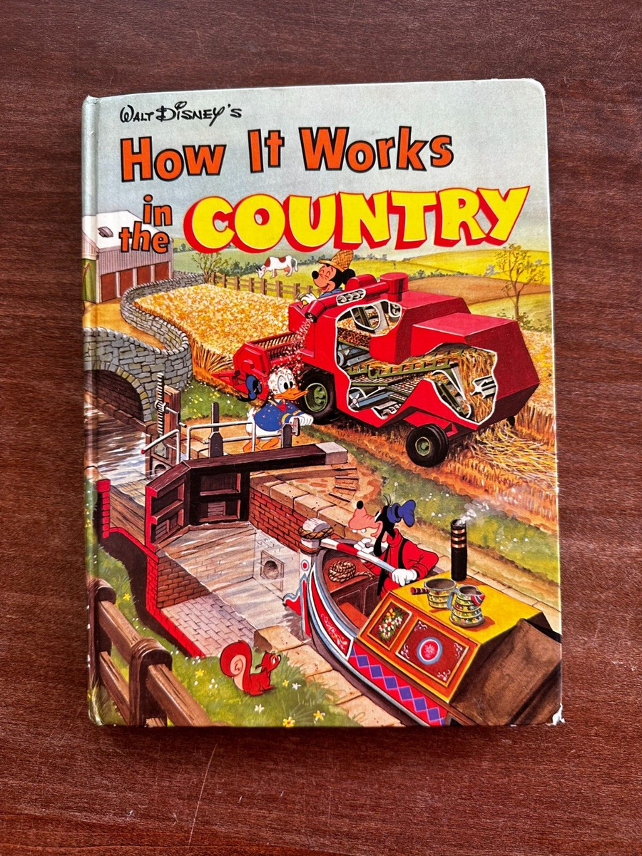 ディズニー How it Works in thecountry