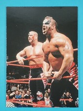 1998 Comic Images WWF Superstarz - Road Warrior Animal Road