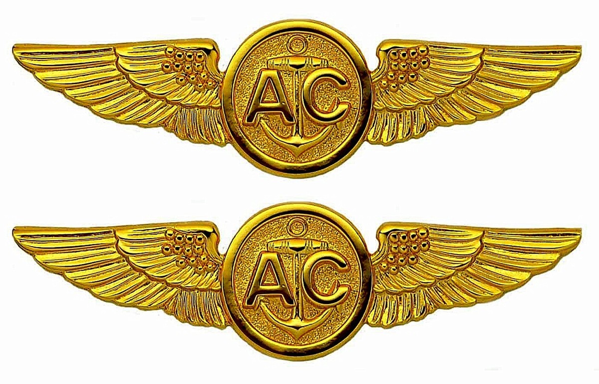 USN.USMCパイロットエンブレム バッジ Lot of 2 USN Aircrew Wings Badge Pin USMC Marine Coast Guard