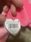 Foto 15 di 16