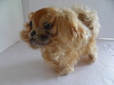 Steiff dog Pekinese with button Germany 835