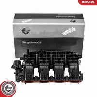 Esen SKV Saugrohrmodul 49SKV099 FüR VW Tiguan Allspace BW2 BJ2 Beetle 5C1 5C2