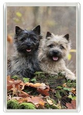 CAIRN TERRIER DOG FRIDGE MAGNET GREAT GIFT