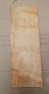 Figürliches Ahornfurnier 455 mm x 170 mm