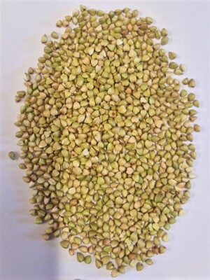Bio Buchweizen