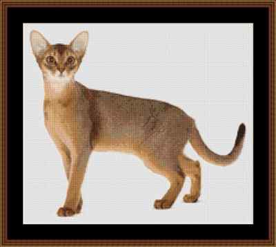 Abessinier Katze Kreuzstich Set