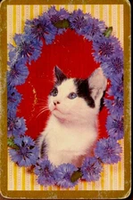 Vintage Kitten / Cat Swap Card #22