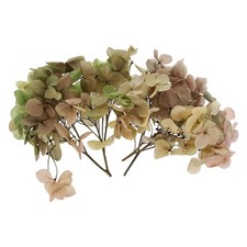10g Mini Fiori Secchi Di Ortensia Naturale Pressata Sfumatura Verde Chiaro Rosa