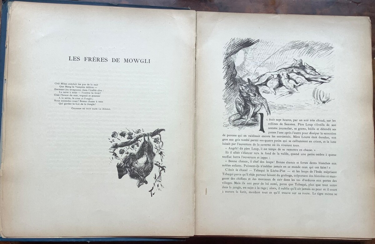 Le Livre de La Jungle Rudyard Kipling illustrations de Roger