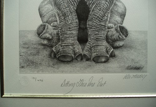 Peter Hildick - Sitting This One Out - Baby Rhino - Mtd Print Ltd Edit No 15/495 - Picture 4 of 10