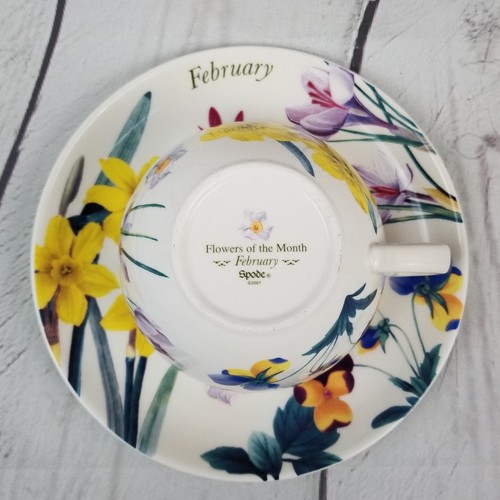 Spode February Flower of the Month Cup & Saucer No Box eBay