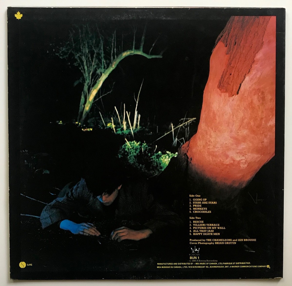 ORIGINAL 1980 ECHO & THE BUNNYMEN Album CROCODILES Lp Record VINYL