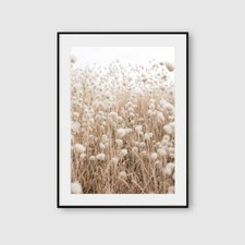 Neutral Beige Brown Botanical Wall Art Prints Posters Nature Pictures Home Decor