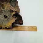 Picture 6 of 7