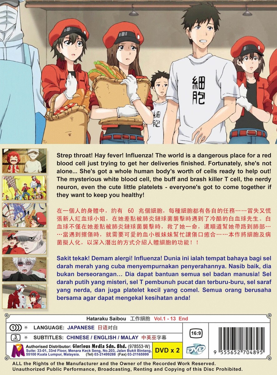 Hataraku Saibou Black - 01 - 03 - Lost in Anime