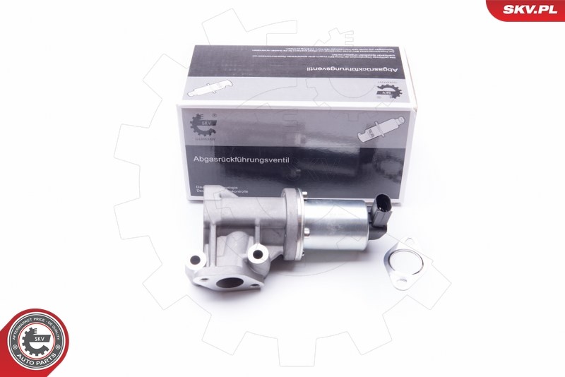 Fits SKV GERMANY 14SKV105 EGR VALVE 14SKV105 HYUNDAI ACCENT III GETZ  ⭐UK Stock⭐