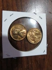 2 - 1955 s Lincoln cents wheat penny BU+++++