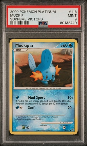 Mudkip graded PSA 9 for sale on eBay