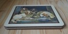 Bild 7 von 22