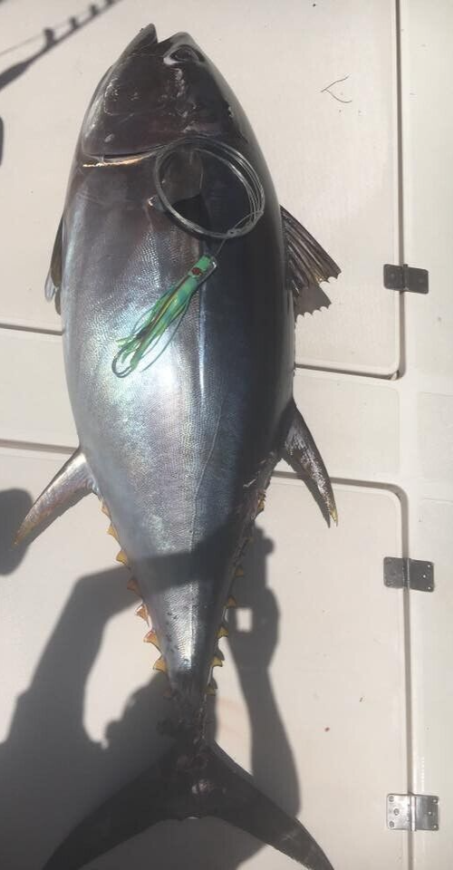 Leurre de pêche à la traîne vintage 11 concave marlin gros