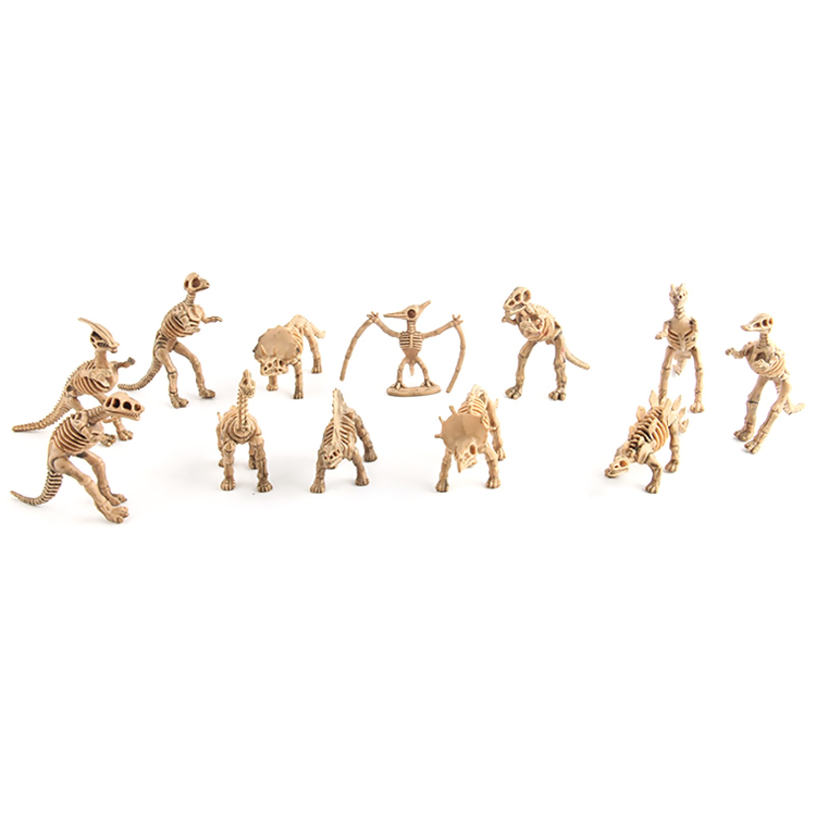 12pcs Dinosaur Fossil Skeleton Model Toy Set for Kids Gift