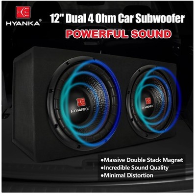 Sagittarius Series BSC-12-4 12-inch Car Subwoofer