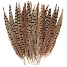 20pcs Male Pheasant Feather Natural Ringneck Tails Feathers 8-10inc... Fast Ship