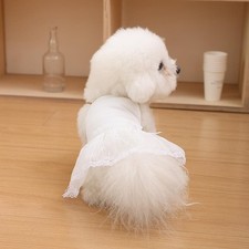 Vestiti Estivi Per Cani Rinfrescanti Gonna In Pizzo Per Cuccioli Gilet Per ☆