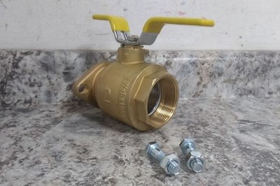 Webstone 40407HV 2 In Valve Size Brass Body Manual Two-Way Ball Valve (BW)