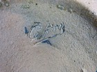 Foto 7 di 12