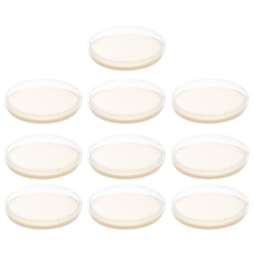  10 Pcs Nutrient Agar Plate Pre-Poured Plates Tissue Culture Petri - Picture 1 of 12