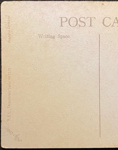 1900c ("HE LOVES ME", RHYME) GRAPHIC {{THEOCHROM SERIES NO. 1117}} POSTCARD! - Picture 11 of 12