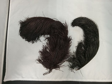 LOT of 2 ANTIQUE VICTORIAN EDWARDIAN LARGE MILLINERY BLACK OSTRICH HAT FEATHERS