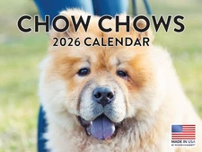 Chow Chow Calendar 2026 Monthly Wall Calender 12 Month Dog