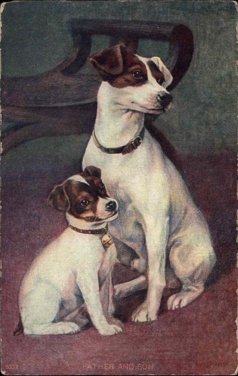 Jack Russell Terrier Dog Puppy Father and Son 1900s-20s Vintage