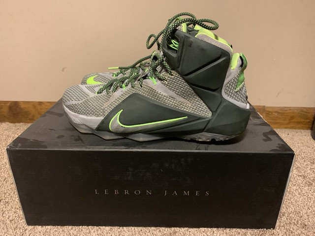 lebron 12 dunkman