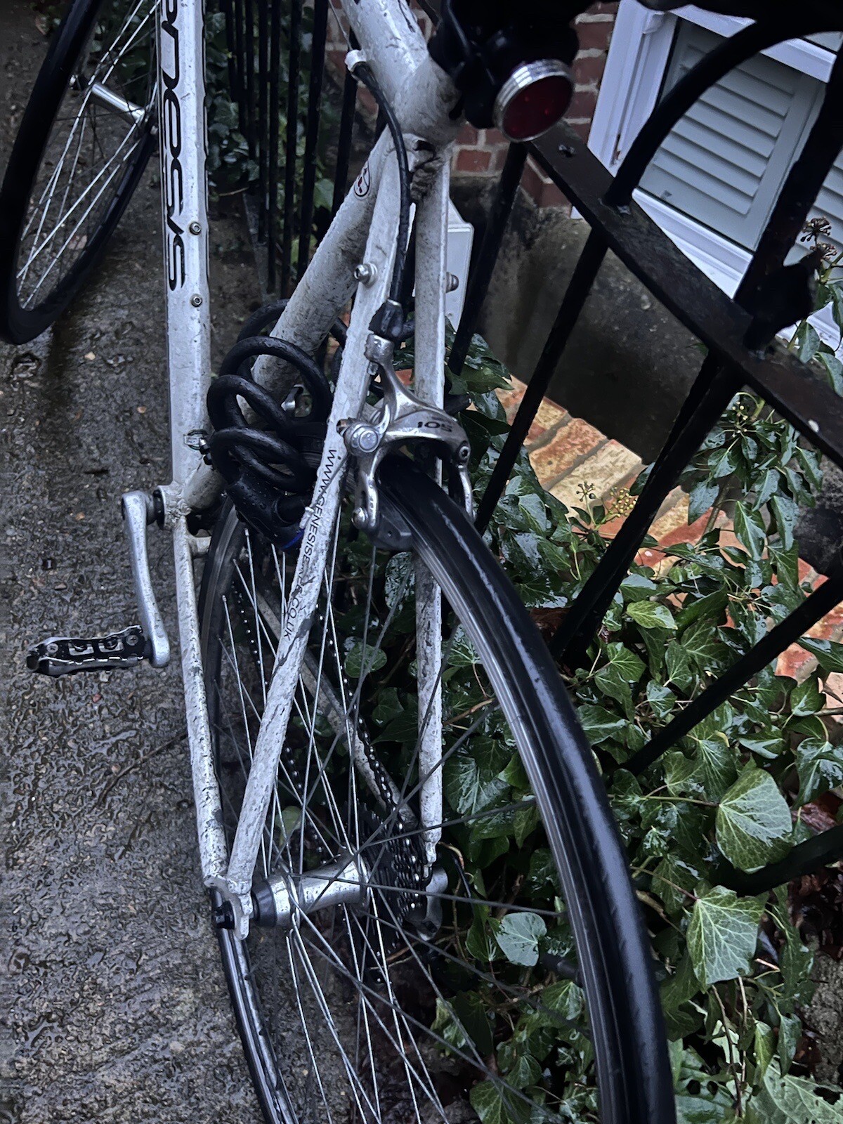 ridgeback genesis day 01