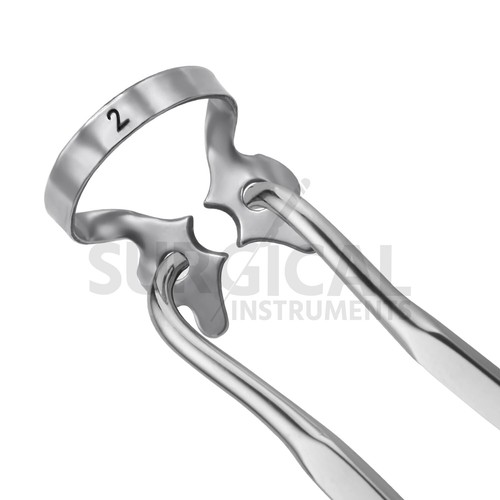 3 Stck. Endodontische Gummidammklemmen #2 Edelstahl Chirurgische Zahnmedizin Deutsch Gr - Bild 7 von 7