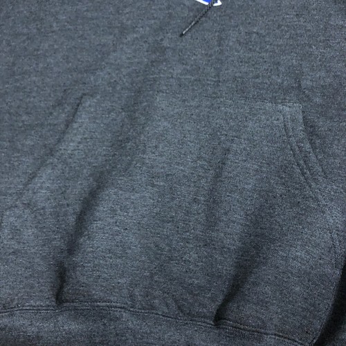 Champion Central Blue Devils Men's Hoddie Fleece Gray Long Sleeve Size Small - Picture 9 of 16