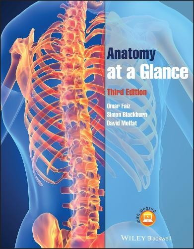 Anatomy at a Glance-Omar Faiz,Simon Blackburn,David Moffat - Image 2