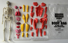 Science to the Max Interactive Human Body - As Shown - Skeleton Figure