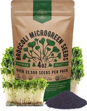 Broccoli Sprouting Microgreens Seeds - 32,500 Non-GMO Heirloom
