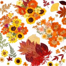 76pcs Fall Dried Pressed Flowers for Resin Crafts, Real Autumn Dry Floral, As...