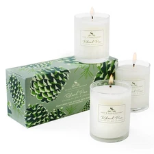 Roland Pine Votive Trio Gift Set - 3 x 2.4 oz Votive Soy Candles