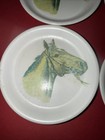 Waverly Products horse   Coaster Miniature Plate Set Of 4 — photo 5