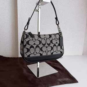 Coach Demi Pouch | eBay