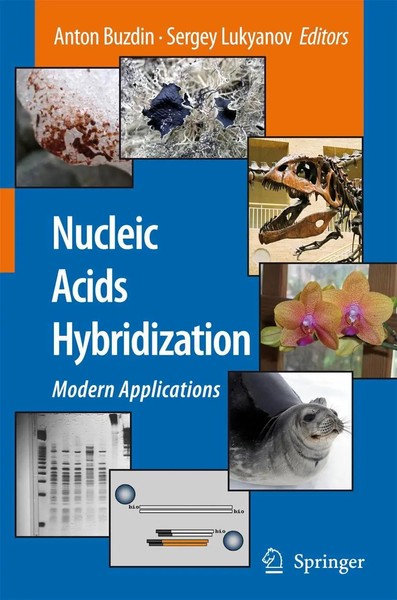 Anton Buzdin (U. A.) | Nucleic Acids Hybridization | Taschenbuch | Englisch-image