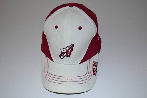 FSU FLORIDA STATE SEMINOLES NOLES SPEAR 