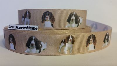 Grosgrain Ribbon, English Springer Spaniel Dogs, Dog Breeds, I love dogs, 7/8''
