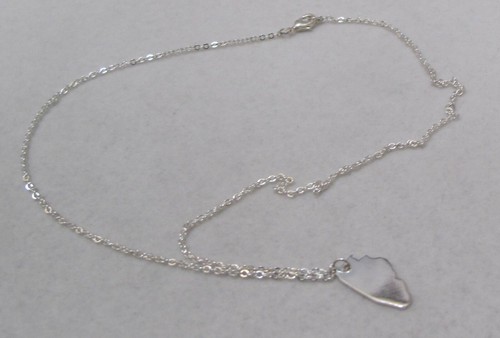 STATE OF ILLINOIS Silver Tone Pendant WONDERS 16” Windy City Bebe Necklace NWT - Picture 8 of 12